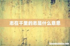 志在千里的志是什么意思