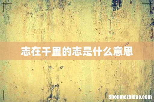 志在千里的志是什么意思