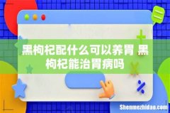 黑枸杞配什么可以养胃 黑枸杞能治胃病吗
