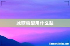 冰糖雪梨用什么梨