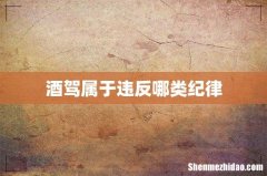酒驾属于违反哪类纪律