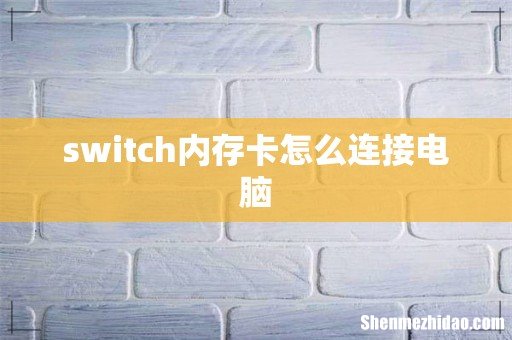 switch内存卡怎么连接电脑