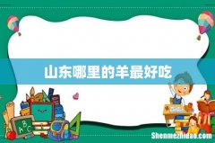 山东哪里的羊最好吃