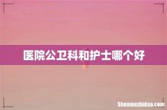 医院公卫科和护士哪个好