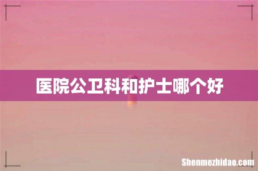 医院公卫科和护士哪个好