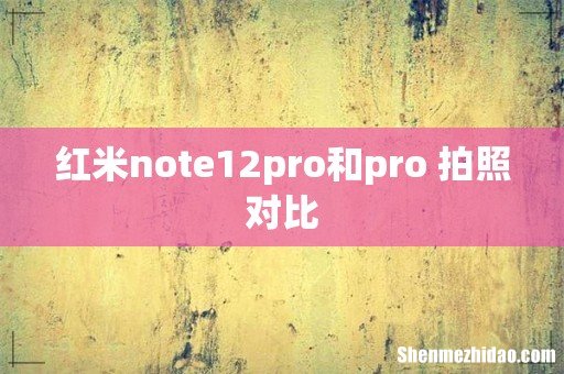 红米note12pro和pro+拍照对比