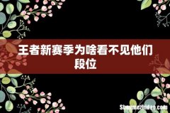 王者新赛季为啥看不见他们段位