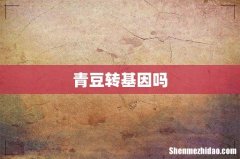 青豆转基因吗