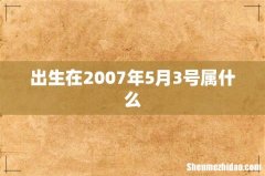 出生在2007年5月3号属什么