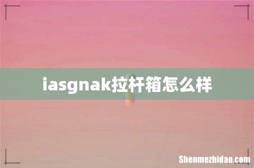 iasgnak拉杆箱怎么样