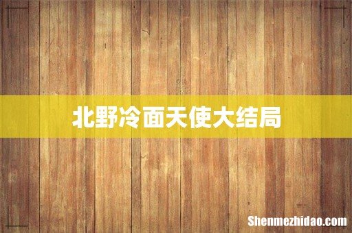 北野冷面天使大结局