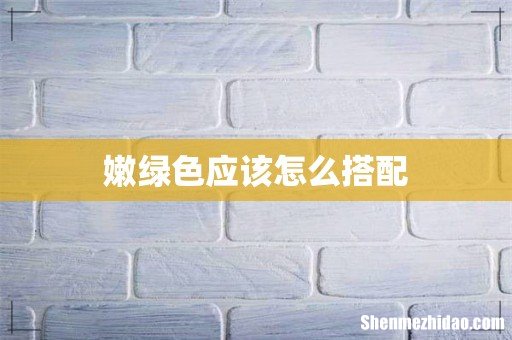 嫩绿色应该怎么搭配