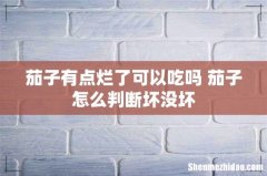 茄子有点烂了可以吃吗 茄子怎么判断坏没坏
