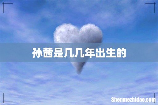 孙茜是几几年出生的