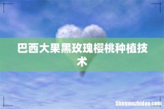 巴西大果黑玫瑰樱桃种植技术