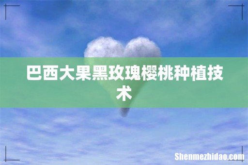 巴西大果黑玫瑰樱桃种植技术