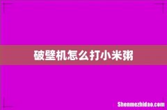 破壁机怎么打小米粥