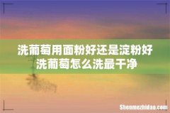洗葡萄用面粉好还是淀粉好 洗葡萄怎么洗最干净