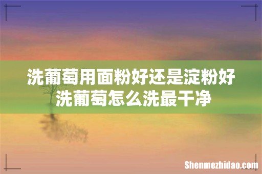 洗葡萄用面粉好还是淀粉好 洗葡萄怎么洗最干净