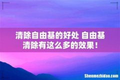 清除自由基的好处 自由基清除有这么多的效果！