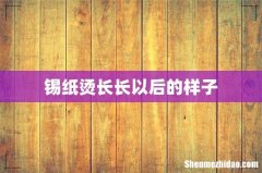 锡纸烫长长以后的样子