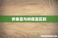 供春壶与树瘿壶区别