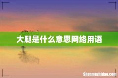 大腿是什么意思网络用语