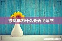 徐凤年为什么要姜泥读书