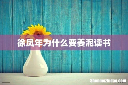 徐凤年为什么要姜泥读书