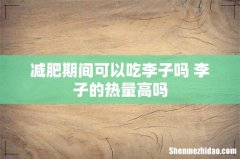 减肥期间可以吃李子吗 李子的热量高吗
