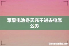 苹果电池冬天充不进去电怎么办