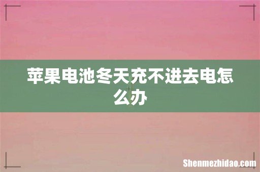 苹果电池冬天充不进去电怎么办