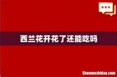 西兰花开花了还能吃吗