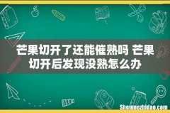 芒果切开了还能催熟吗 芒果切开后发现没熟怎么办