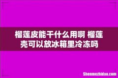 榴莲皮能干什么用啊 榴莲壳可以放冰箱里冷冻吗