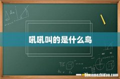 吼吼叫的是什么鸟