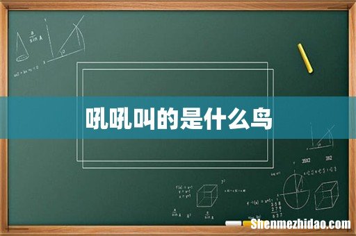 吼吼叫的是什么鸟