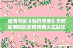 请问电影《独自等待》里面最后那段夏雨跑到火车站送别龚必蓓那段的背景音乐是什么