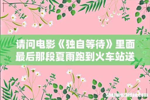 请问电影《独自等待》里面最后那段夏雨跑到火车站送别龚必蓓那段的背景音乐是什么