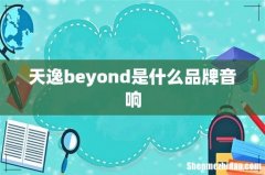 天逸beyond是什么品牌音响