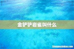 金铲铲岩雀叫什么