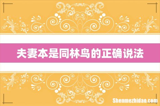 夫妻本是同林鸟的正确说法