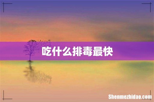 吃什么排毒最快