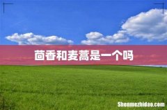茴香和麦蒿是一个吗