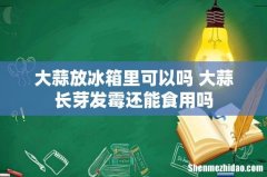 大蒜放冰箱里可以吗 大蒜长芽发霉还能食用吗