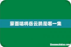 蒙面唱将岳云鹏是哪一集