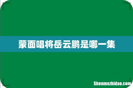 蒙面唱将岳云鹏是哪一集