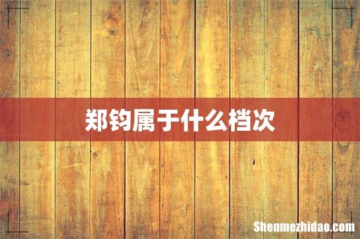 郑钧属于什么档次