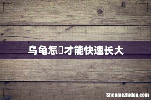 乌龟怎麼才能快速长大