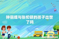钟丽缇与张伦硕的孩子出世了吗